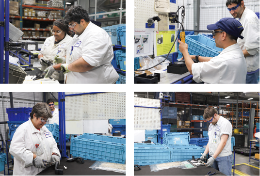 Employees working on the sustainability line