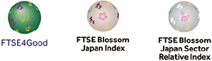 FTSE Blossom Japan Index