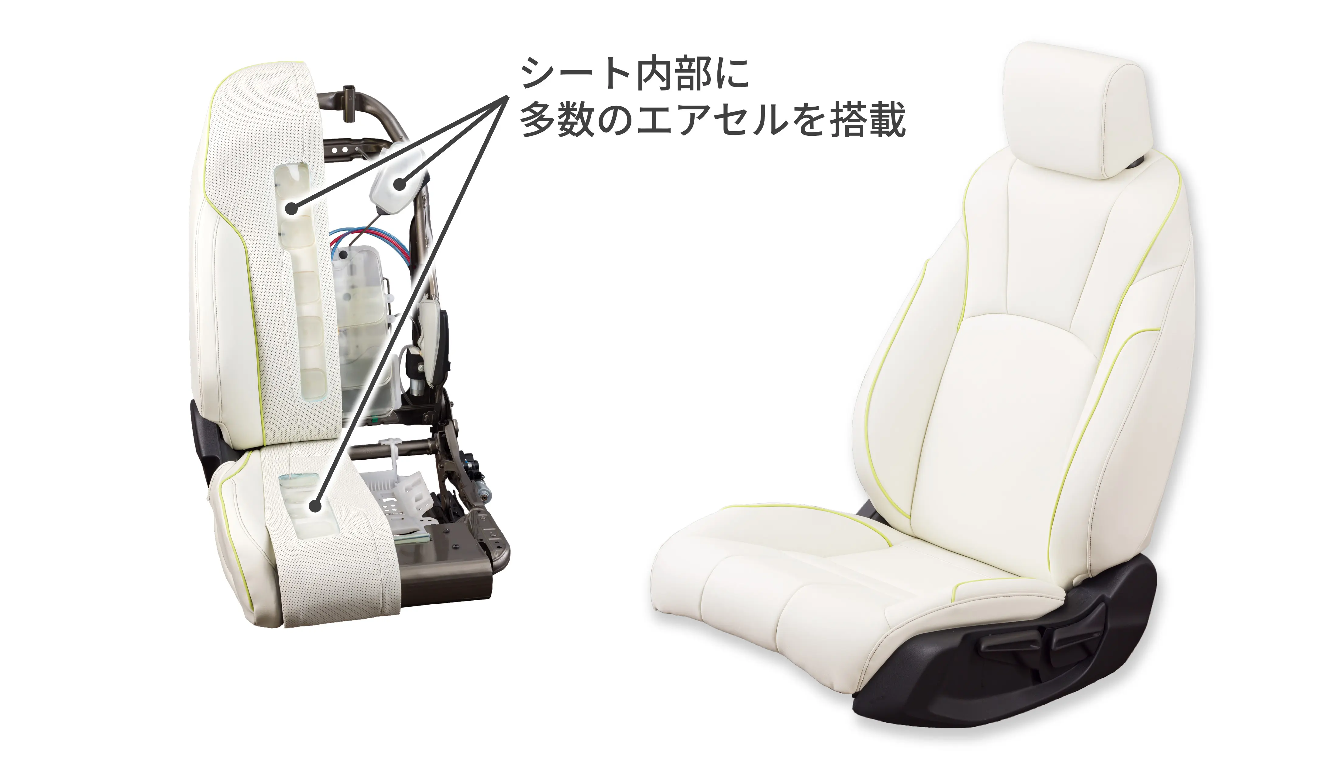 ヘルスケアシートとそのカットモデル